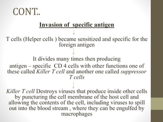 CONT..
Invasion of specific antigen
T cells (Helper cells ) became sensitized and specific for the
foreign antigen
It divides many times then producing
antigen – specific CD 4 cells with other functions one of
these called Killer T cell and another one called suppressor
T cells
Killer T cell Destroys viruses that produce inside other cells
by puncturing the cell membrane of the host cell and
allowing the contents of the cell, including viruses to spill
out into the blood stream , where they can be engulfed by
macrophages
 