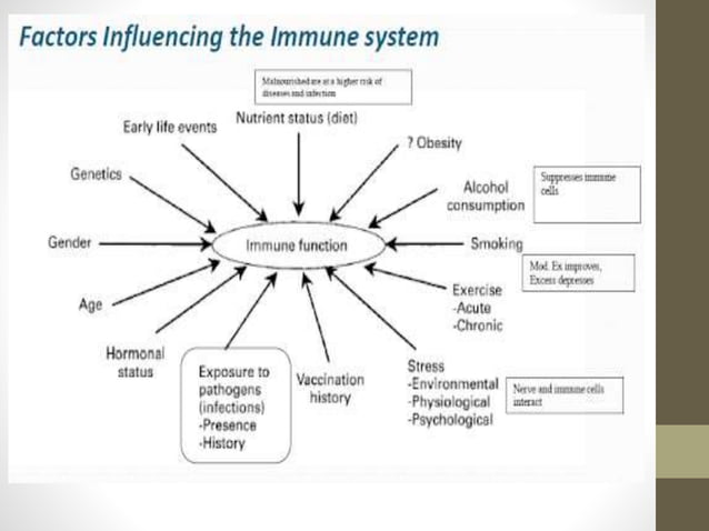 Photo inspiration: Picture Idea: Psychoimmunology Pptx Brain And Nervous System Disorders