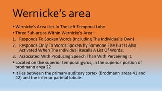 Wernicke’s area
 Wernicke’s Area Lies In The Left Temporal Lobe
 Three Sub-areas Within Wernicke’s Area :
1. Responds To Spoken Words (Including The Individual’s Own)
2. Responds Only To Words Spoken By Someone Else But Is Also
Activated When The Individual Recalls A List Of Words.
3. Associated With Producing Speech Than With Perceiving It.
 Located on the superior temporal gyrus, in the superior portion of
brodmann area 22
 It lies between the primary auditory cortex (Brodmann areas 41 and
42) and the inferior parietal lobule.
 