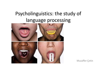 Psycholinguistics: the study of
language processing
Muzaffer Çetin
 
