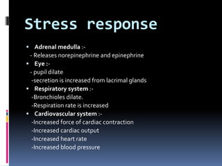 Stress response
 Adrenal medulla :-
- Releases norepinephrine and epinephrine
 Eye :-
- pupil dilate
-secretion is increased from lacrimal glands
 Respiratory system :-
-Bronchioles dilate.
-Respiration rate is increased
 Cardiovascular system :-
-Increased force of cardiac contraction
-Increased cardiac output
-Increased heart rate
-Increased blood pressure
 