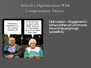 Selective Optimization With Compensation Theory   Optimization = Engagement in behaviors that will enrich ones life and help people age successfully.  