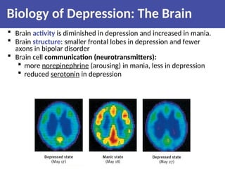 Biology of Depression: The Brain
 Brain activity is diminished in depression and increased in mania.
 Brain structure: smaller frontal lobes in depression and fewer
axons in bipolar disorder
 Brain cell communication (neurotransmitters):
 more norepinephrine (arousing) in mania, less in depression
 reduced serotonin in depression
 