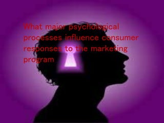 What major psychological
processes influence consumer
responses to the marketing
program
 