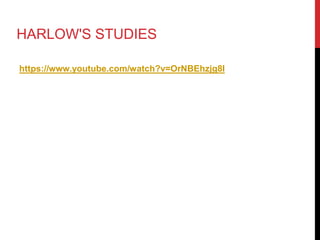 HARLOW'S STUDIES
https://www.youtube.com/watch?v=OrNBEhzjg8I
 