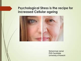 Psychological Stress is the recipe for
increased Cellular ageing
Muhammad Jamal
PhD Candidate
University of Karachi
 
