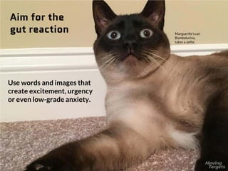 Aim for the
gut reaction
Use words and images that
create excitement, urgency or
even low-grade anxiety.
Marguerite’s cat ...