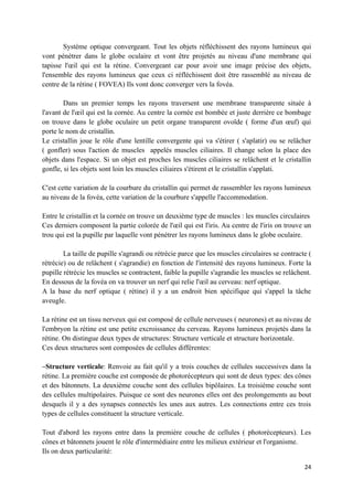 Système optique convergeant. Tout les objets réfléchissent des rayons lumineux qui
vont pénétrer dans le globe oculaire et vont être projetés au niveau d'une membrane qui
tapisse l'œil qui est la rétine. Convergeant car pour avoir une image précise des objets,
l'ensemble des rayons lumineux que ceux ci réfléchissent doit être rassemblé au niveau de
centre de la rétine ( FOVEA) Ils vont donc converger vers la fovéa.

        Dans un premier temps les rayons traversent une membrane transparente située à
l'avant de l'œil qui est la cornée. Au centre la cornée est bombée et juste derrière ce bombage
on trouve dans le globe oculaire un petit organe transparent ovoïde ( forme d'un œuf) qui
porte le nom de cristallin.
Le cristallin joue le rôle d'une lentille convergente qui va s'étirer ( s'aplatir) ou se relâcher
( gonfler) sous l'action de muscles appelés muscles ciliaires. Il change selon la place des
objets dans l'espace. Si un objet est proches les muscles ciliaires se relâchent et le cristallin
gonfle, si les objets sont loin les muscles ciliaires s'étirent et le cristallin s'applati.

C'est cette variation de la courbure du cristallin qui permet de rassembler les rayons lumineux
au niveau de la fovéa, cette variation de la courbure s'appelle l'accommodation.

Entre le cristallin et la cornée on trouve un deuxième type de muscles : les muscles circulaires
Ces derniers composent la partie colorée de l'œil qui est l'iris. Au centre de l'iris on trouve un
trou qui est la pupille par laquelle vont pénétrer les rayons lumineux dans le globe oculaire.

        La taille de pupille s'agrandi ou rétrécie parce que les muscles circulaires se contracte (
rétrécie) ou de relâchent ( s'agrandie) en fonction de l'intensité des rayons lumineux. Forte la
pupille rétrécie les muscles se contractent, faible la pupille s'agrandie les muscles se relâchent.
En dessous de la fovéa on va trouver un nerf qui relie l'œil au cerveau: nerf optique.
A la base du nerf optique ( rétine) il y a un endroit bien spécifique qui s'appel la tâche
aveugle.

La rétine est un tissu nerveux qui est composé de cellule nerveuses ( neurones) et au niveau de
l'embryon la rétine est une petite excroissance du cerveau. Rayons lumineux projetés dans la
rétine. On distingue deux types de structures: Structure verticale et structure horizontale.
Ces deux structures sont composées de cellules différentes:

−Structure verticale: Renvoie au fait qu'il y a trois couches de cellules successives dans la
rétine. La première couche est composée de photorécepteurs qui sont de deux types: des cônes
et des bâtonnets. La deuxième couche sont des cellules bipôlaires. La troisième couche sont
des cellules multipolaires. Puisque ce sont des neurones elles ont des prolongements au bout
desquels il y a des synapses connectés les unes aux autres. Les connections entre ces trois
types de cellules constituent la structure verticale.

Tout d'abord les rayons entre dans la première couche de cellules ( photorécepteurs). Les
cônes et bâtonnets jouent le rôle d'intermédiaire entre les milieux extérieur et l'organisme.
Ils on deux particularité:

                                                                                                24
 