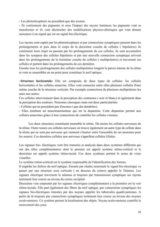 - Les photorécepteurs ne possèdent que des axones.
- Ils contiennent des pigments et sous l'impact des rayons lumineux les pigments vont se
transformer et ils vont déclencher des modifications physico-chimiques qui vont donner
naissance à un signal qui est un signal bio-électrique.

Les rayons sont captés par les photorécepteurs et par connections synaptiques passent dans les
prolongements et puis dans le corps de la deuxième couche de cellules ( bipolaires) ils
continuent leurs trajet en passant par les prolongements de ces cellules, ils sont accumulées
dans les synapses des cellules bipolaires et par une nouvelle connection synaptique arrivent
dans les prolongements de la troisième couche de cellules ( multipolaires) et traversent ses
cellules et partent dans les prolongements de ces dernières
Ensuite tous les prolongements des cellules multipolaires longent la parois interne de la rétine
et vont se rassembler en un point pour constituer le nerf optique.

−Structure horizontale: Elle est composée de deux types de cellules: les cellules
horizontales et les cellules amacrine. Elles vont connecter entre elles plusieurs cellules d'une
même couche de la structure verticale. Par exemple connections de plusieurs multipolaires les
unes aux autres.
Ces cellules interviennent dans la perception des contrastes ( noir et blanc) et également dans
la perception des couleurs. Neurones classiques mais ont deux particularités:
- Cellules qui ne possèdent pas d'axones ( que des dendrites).
- Elles émettent un neurotransmetteur qui est la dopamine. Cette dopamine permet aux
cellules amacrines grâce à leur connections de contrôler les cellules voisines.

        Les deux structures constituent ensemble la rétine. Du moins les cellules nerveuses de
la rétine. Outre toutes ces cellules nerveuses on trouve également un autre type de cellule dans
la rétine qui ne sont pas nerveuse qui viennent s'insérer entre l'ensemble de ses neurones pour
les nourrir. Ces dernières cellules non nerveuse s'appellent cellules Gliales.

Les signaux bio- électriques vont être transmis et analysés dans deux systèmes différents qui
ont des rôles complémentaires dont le premier est appelé système rétino-cortical et le
deuxième est appelé système rétino-tectal. Ces deux systèmes portent le noms de voies
visuelles.
Le système retino-cortical est le système responsable de l'identification des formes.
Il englobe les ficbres du nerf optique. Ensuite par chaîne neuronale le signal bio-electrique va
passer par une structure sous corticale ( en dessous du cortex) appelée le Talamus. Les
signaux électrique traversent le talamus et toujours par transmission synaptique ses rayons
terminent leur course au niveau du cortex occipital.
Deuxième voie emprunté par les signaux électriques complémentaire a la première est la voir
rétino-tectale. Elle part également des fibres du nerf optique, par connections synaptiques les
signaux bio-électriques transites par des noyaux appelés les tubercules quadri-jumeaux. A
partir de là toujours par connections synaptiques terminent leur course au niveau des noyaux
oculo-moteurs. Ce système permet la localisation des objets. Noyau oculo-moteurs contrôle le
mouvement des yeux.

                                                                                             25
 