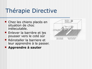 Thérapie Directive 
 Chez les chiens placés en 
situation de choc 
inélecutable. 
 Enlever la barrière et les 
pousser vers le coté sûr 
 Réinstaller la barriere et 
leur apprendre à la passer. 
 Apprendre à sauter 
 