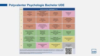 Polyvalenter Psychologie Bachelor UDE
 