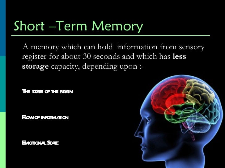 presentation on memory in psychology