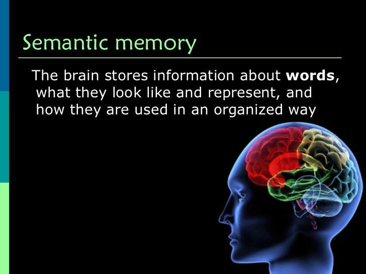Human Memory Psychology