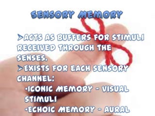 Memory and Intelligence | PPTX