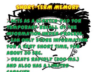 Memory and Intelligence | PPTX