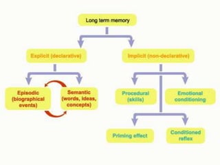 Memory and Intelligence | PPTX