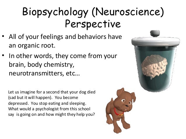 examples of evolutionary perspective on emotions in psychology