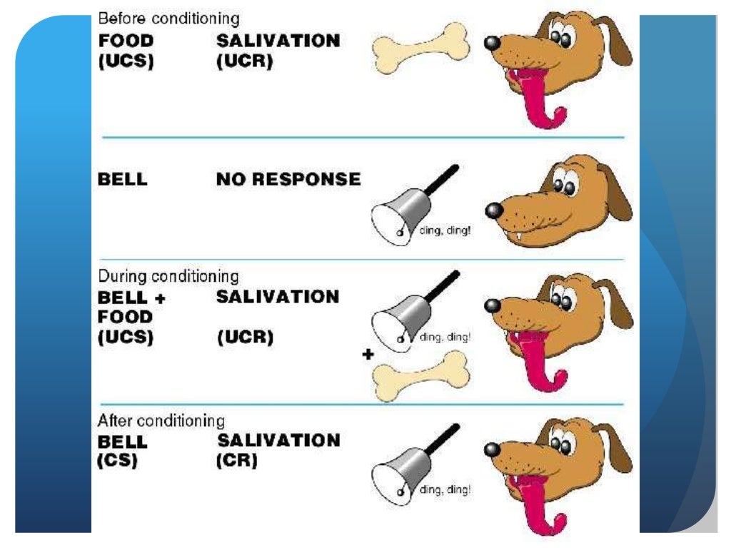 case study 1 classical conditioning what's wrong with ziggy
