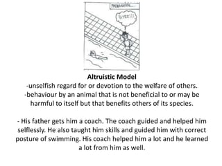 Altruistic Model
-unselfish regard for or devotion to the welfare of others.
-behaviour by an animal that is not beneficial to or may be
harmful to itself but that benefits others of its species.
- His father gets him a coach. The coach guided and helped him
selflessly. He also taught him skills and guided him with correct
posture of swimming. His coach helped him a lot and he learned
a lot from him as well.
 