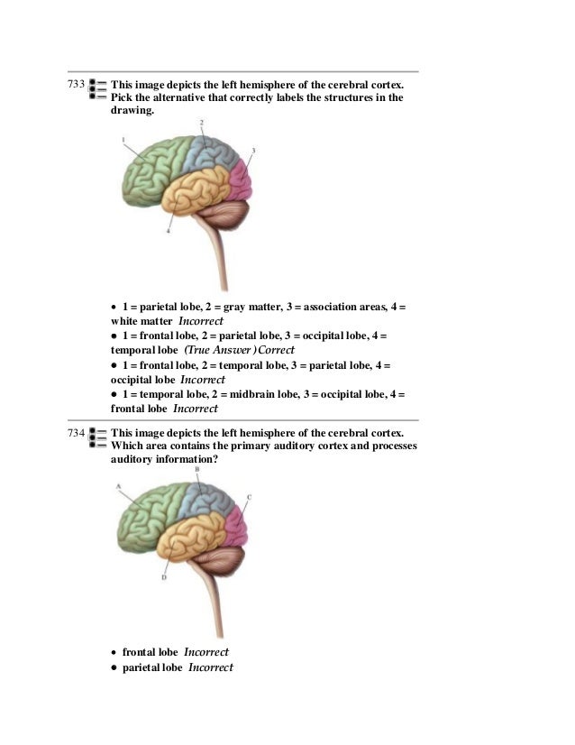 42 Questions With Answers In Psychology Of Creativity Science Topic