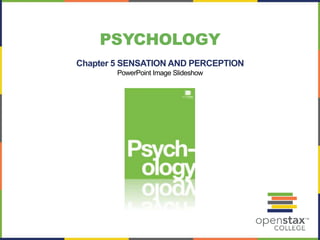 Chapter 5 SENSATION AND PERCEPTION
PowerPoint Image Slideshow
PSYCHOLOGY
 
