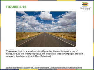 This OpenStax ancillary resource is © Rice University under a CC-BY 4.0 International license; it may be reproduced or modified but must be attributed to OpenStax,
Rice University and any changes must be noted. Any images credited to other sources are similarly available for reproduction, but must be attributed to their sources.
We perceive depth in a two-dimensional figure like this one through the use of
monocular cues like linear perspective, like the parallel lines converging as the road
narrows in the distance. (credit: Marc Dalmulder)
FIGURE 5.15
 