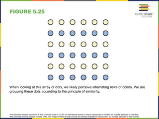 This OpenStax ancillary resource is © Rice University under a CC-BY 4.0 International license; it may be reproduced or modified but must be attributed to OpenStax,
Rice University and any changes must be noted. Any images credited to other sources are similarly available for reproduction, but must be attributed to their sources.
When looking at this array of dots, we likely perceive alternating rows of colors. We are
grouping these dots according to the principle of similarity.
FIGURE 5.25
 