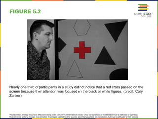This OpenStax ancillary resource is © Rice University under a CC-BY 4.0 International license; it may be reproduced or modified but must be attributed to OpenStax,
Rice University and any changes must be noted. Any images credited to other sources are similarly available for reproduction, but must be attributed to their sources.
Nearly one third of participants in a study did not notice that a red cross passed on the
screen because their attention was focused on the black or white figures. (credit: Cory
Zanker)
FIGURE 5.2
 