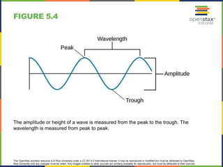 This OpenStax ancillary resource is © Rice University under a CC-BY 4.0 International license; it may be reproduced or modified but must be attributed to OpenStax,
Rice University and any changes must be noted. Any images credited to other sources are similarly available for reproduction, but must be attributed to their sources.
The amplitude or height of a wave is measured from the peak to the trough. The
wavelength is measured from peak to peak.
FIGURE 5.4
 