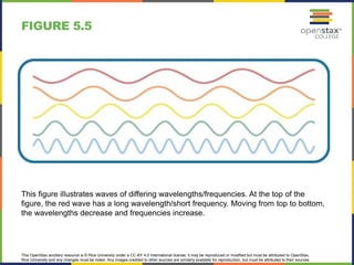 This OpenStax ancillary resource is © Rice University under a CC-BY 4.0 International license; it may be reproduced or modified but must be attributed to OpenStax,
Rice University and any changes must be noted. Any images credited to other sources are similarly available for reproduction, but must be attributed to their sources.
This figure illustrates waves of differing wavelengths/frequencies. At the top of the
figure, the red wave has a long wavelength/short frequency. Moving from top to bottom,
the wavelengths decrease and frequencies increase.
FIGURE 5.5
 