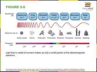 This OpenStax ancillary resource is © Rice University under a CC-BY 4.0 International license; it may be reproduced or modified but must be attributed to OpenStax,
Rice University and any changes must be noted. Any images credited to other sources are similarly available for reproduction, but must be attributed to their sources.
Light that is visible to humans makes up only a small portion of the electromagnetic
spectrum.
FIGURE 5.6
 