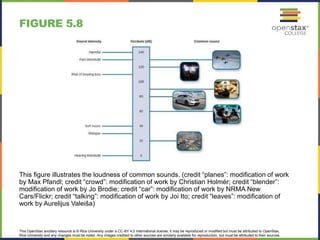 This OpenStax ancillary resource is © Rice University under a CC-BY 4.0 International license; it may be reproduced or modified but must be attributed to OpenStax,
Rice University and any changes must be noted. Any images credited to other sources are similarly available for reproduction, but must be attributed to their sources.
This figure illustrates the loudness of common sounds. (credit “planes”: modification of work
by Max Pfandl; credit “crowd”: modification of work by Christian Holmér; credit “blender”:
modification of work by Jo Brodie; credit “car”: modification of work by NRMA New
Cars/Flickr; credit “talking”: modification of work by Joi Ito; credit “leaves”: modification of
work by Aurelijus Valeiša)
FIGURE 5.8
 
