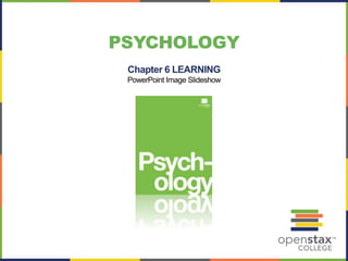 Chapter 6 LEARNING
PowerPoint Image Slideshow
PSYCHOLOGY
 