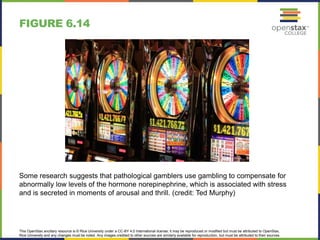 This OpenStax ancillary resource is © Rice University under a CC-BY 4.0 International license; it may be reproduced or modified but must be attributed to OpenStax,
Rice University and any changes must be noted. Any images credited to other sources are similarly available for reproduction, but must be attributed to their sources.
Some research suggests that pathological gamblers use gambling to compensate for
abnormally low levels of the hormone norepinephrine, which is associated with stress
and is secreted in moments of arousal and thrill. (credit: Ted Murphy)
FIGURE 6.14
 