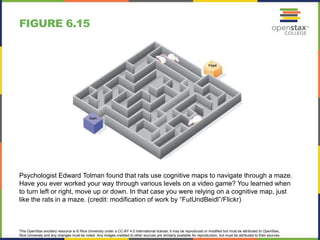 This OpenStax ancillary resource is © Rice University under a CC-BY 4.0 International license; it may be reproduced or modified but must be attributed to OpenStax,
Rice University and any changes must be noted. Any images credited to other sources are similarly available for reproduction, but must be attributed to their sources.
Psychologist Edward Tolman found that rats use cognitive maps to navigate through a maze.
Have you ever worked your way through various levels on a video game? You learned when
to turn left or right, move up or down. In that case you were relying on a cognitive map, just
like the rats in a maze. (credit: modification of work by “FutUndBeidl”/Flickr)
FIGURE 6.15
 