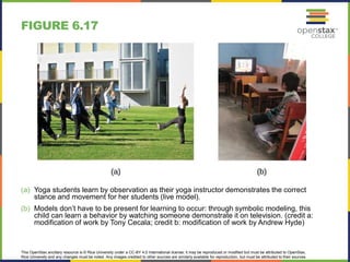This OpenStax ancillary resource is © Rice University under a CC-BY 4.0 International license; it may be reproduced or modified but must be attributed to OpenStax,
Rice University and any changes must be noted. Any images credited to other sources are similarly available for reproduction, but must be attributed to their sources.
(a) Yoga students learn by observation as their yoga instructor demonstrates the correct
stance and movement for her students (live model).
(b) Models don’t have to be present for learning to occur: through symbolic modeling, this
child can learn a behavior by watching someone demonstrate it on television. (credit a:
modification of work by Tony Cecala; credit b: modification of work by Andrew Hyde)
FIGURE 6.17
 
