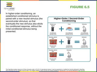 This OpenStax ancillary resource is © Rice University under a CC-BY 4.0 International license; it may be reproduced or modified but must be attributed to OpenStax,
Rice University and any changes must be noted. Any images credited to other sources are similarly available for reproduction, but must be attributed to their sources.
In higher-order conditioning, an
established conditioned stimulus is
paired with a new neutral stimulus (the
second-order stimulus), so that
eventually the new stimulus also elicits
the conditioned response, without the
initial conditioned stimulus being
presented.
FIGURE 6.5
 