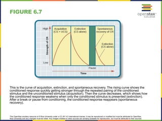 This OpenStax ancillary resource is © Rice University under a CC-BY 4.0 International license; it may be reproduced or modified but must be attributed to OpenStax,
Rice University and any changes must be noted. Any images credited to other sources are similarly available for reproduction, but must be attributed to their sources.
This is the curve of acquisition, extinction, and spontaneous recovery. The rising curve shows the
conditioned response quickly getting stronger through the repeated pairing of the conditioned
stimulus and the unconditioned stimulus (acquisition). Then the curve decreases, which shows how
the conditioned response weakens when only the conditioned stimulus is presented (extinction).
After a break or pause from conditioning, the conditioned response reappears (spontaneous
recovery).
FIGURE 6.7
 