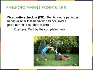 Predetermined Examples Chapter 6 Learning | PPTX