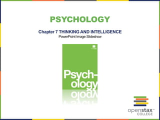 Chapter 7 THINKING AND INTELLIGENCE
PowerPoint Image Slideshow
PSYCHOLOGY
 