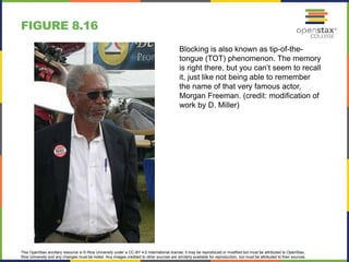 This OpenStax ancillary resource is © Rice University under a CC-BY 4.0 International license; it may be reproduced or modified but must be attributed to OpenStax,
Rice University and any changes must be noted. Any images credited to other sources are similarly available for reproduction, but must be attributed to their sources.
Blocking is also known as tip-of-the-
tongue (TOT) phenomenon. The memory
is right there, but you can’t seem to recall
it, just like not being able to remember
the name of that very famous actor,
Morgan Freeman. (credit: modification of
work by D. Miller)
FIGURE 8.16
 