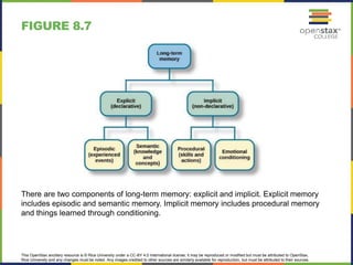 This OpenStax ancillary resource is © Rice University under a CC-BY 4.0 International license; it may be reproduced or modified but must be attributed to OpenStax,
Rice University and any changes must be noted. Any images credited to other sources are similarly available for reproduction, but must be attributed to their sources.
There are two components of long-term memory: explicit and implicit. Explicit memory
includes episodic and semantic memory. Implicit memory includes procedural memory
and things learned through conditioning.
FIGURE 8.7
 