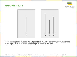 This OpenStax ancillary resource is © Rice University under a CC-BY 4.0 International license; it may be reproduced or modified but must be attributed to OpenStax,
Rice University and any changes must be noted. Any images credited to other sources are similarly available for reproduction, but must be attributed to their sources.
These line segments illustrate the judgment task in Asch’s conformity study. Which line
on the right—a, b, or c—is the same length as line x on the left?
FIGURE 12.17
 