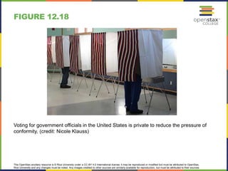 This OpenStax ancillary resource is © Rice University under a CC-BY 4.0 International license; it may be reproduced or modified but must be attributed to OpenStax,
Rice University and any changes must be noted. Any images credited to other sources are similarly available for reproduction, but must be attributed to their sources.
Voting for government officials in the United States is private to reduce the pressure of
conformity. (credit: Nicole Klauss)
FIGURE 12.18
 
