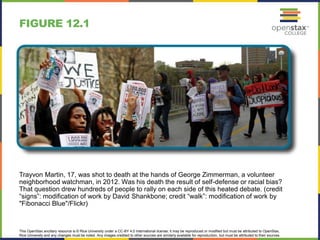 This OpenStax ancillary resource is © Rice University under a CC-BY 4.0 International license; it may be reproduced or modified but must be attributed to OpenStax,
Rice University and any changes must be noted. Any images credited to other sources are similarly available for reproduction, but must be attributed to their sources.
Trayvon Martin, 17, was shot to death at the hands of George Zimmerman, a volunteer
neighborhood watchman, in 2012. Was his death the result of self-defense or racial bias?
That question drew hundreds of people to rally on each side of this heated debate. (credit
“signs”: modification of work by David Shankbone; credit “walk”: modification of work by
"Fibonacci Blue"/Flickr)
FIGURE 12.1
 
