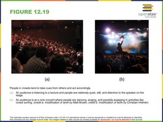 This OpenStax ancillary resource is © Rice University under a CC-BY 4.0 International license; it may be reproduced or modified but must be attributed to OpenStax,
Rice University and any changes must be noted. Any images credited to other sources are similarly available for reproduction, but must be attributed to their sources.
People in crowds tend to take cues from others and act accordingly.
(a) An audience is listening to a lecture and people are relatively quiet, still, and attentive to the speaker on the
stage.
(b) An audience is at a rock concert where people are dancing, singing, and possibly engaging in activities like
crowd surfing. (credit a: modification of work by Matt Brown; credit b: modification of work by Christian Holmér)
FIGURE 12.19
 