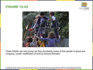 This OpenStax ancillary resource is © Rice University under a CC-BY 4.0 International license; it may be reproduced or modified but must be attributed to OpenStax,
Rice University and any changes must be noted. Any images credited to other sources are similarly available for reproduction, but must be attributed to their sources.
These children are very young, but they are already aware of their gender in-group and
out-group. (credit: modification of work by Simone Ramella)
FIGURE 12.24
 