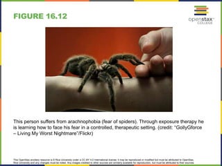 This OpenStax ancillary resource is © Rice University under a CC-BY 4.0 International license; it may be reproduced or modified but must be attributed to OpenStax,
Rice University and any changes must be noted. Any images credited to other sources are similarly available for reproduction, but must be attributed to their sources.
This person suffers from arachnophobia (fear of spiders). Through exposure therapy he
is learning how to face his fear in a controlled, therapeutic setting. (credit: “GollyGforce
– Living My Worst Nightmare”/Flickr)
FIGURE 16.12
 
