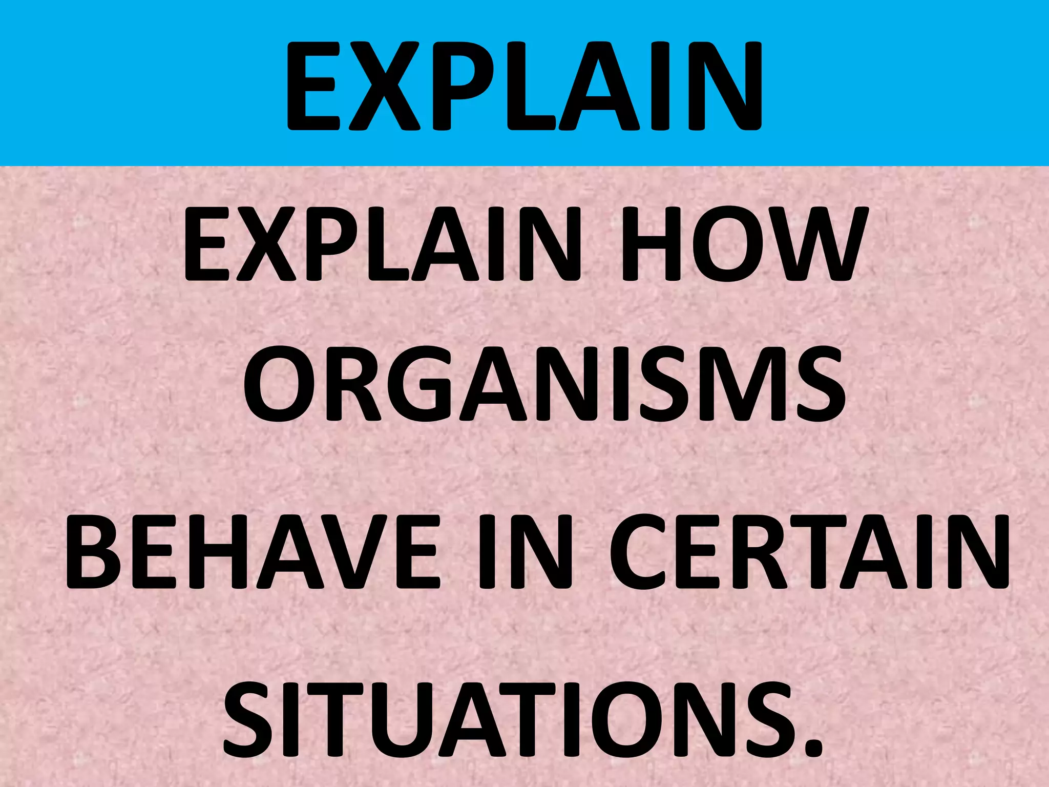EXPLAIN
EXPLAIN HOW
ORGANISMS
BEHAVE IN CERTAIN
SITUATIONS.
 