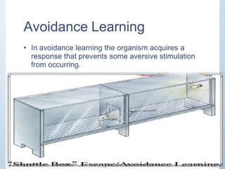 psychology-learning-180406051345.pptx